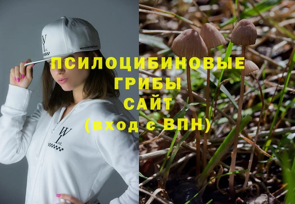 гидра Беломорск
