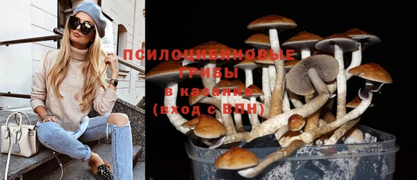 гидра Беломорск