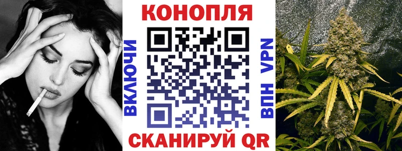 Каннабис план Малоярославец